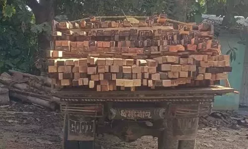 Assam : पगेली चाय बागान के पास छापेमारी कर अवैध लकड़ी से लदा ट्रक जब्त