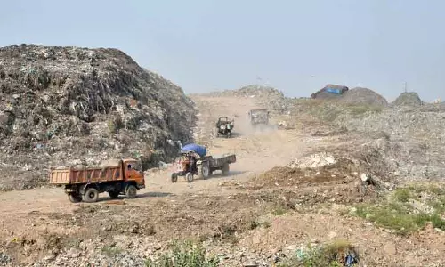 MC ने मामले को हरित अधिकरण को हस्तांतरित करने की मांग की MC ने मामले को हरित अधिकरण को हस्तांतरित करने की मांग की