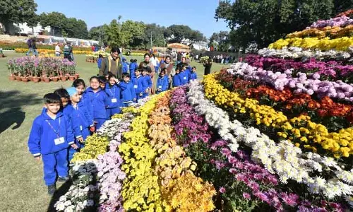 Chandigarh: ‘शून्य अपशिष्ट’ गुलदाउदी शो शुरू हुआ