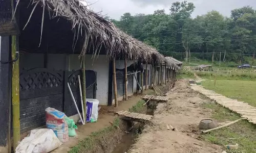 Kerala: राज्य सरकार ने पुलपल्ली के कृषि अधिकारी अनु जॉर्ज का तबादला किया