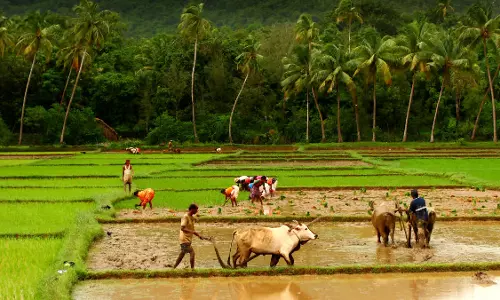 नए साल से पहले किसानों के लिए बड़ा तोहफा