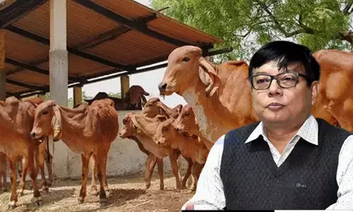 विपक्षी नेता: मवेशी तस्करी मामले में निष्क्रियता के खिलाफ कार्रवाई की मांग विपक्षी नेता: मवेशी तस्करी मामले में निष्क्रियता के खिलाफ कार्रवाई की मांग