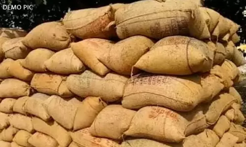 CG: 103 बोरी अवैध धान के साथ ट्रैक्टर जब्त