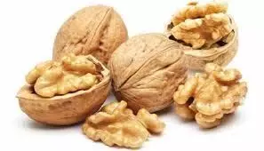 Walnut benefits  : रोज सुबह खाली पेट अखरोट खाने से शरीर को मिलते हैं गजब के फायदे