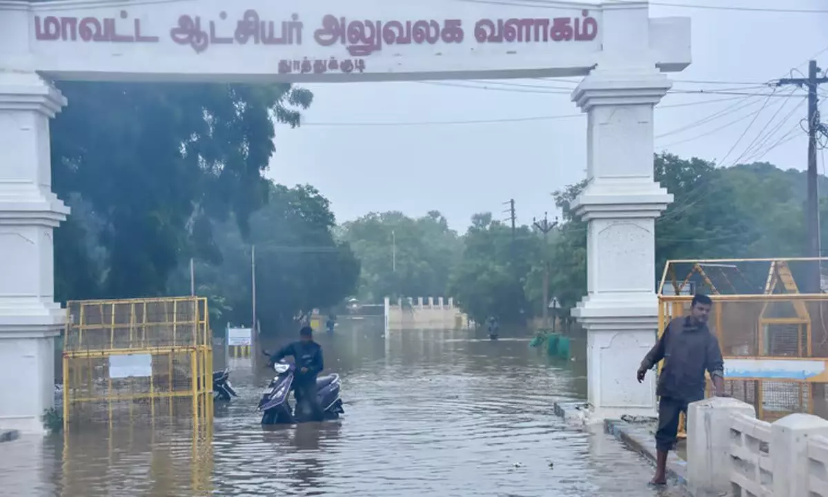 Tamil Nadu: लगातार बारिश से थूथुकुडी कलेक्टरेट में पानी भर गया