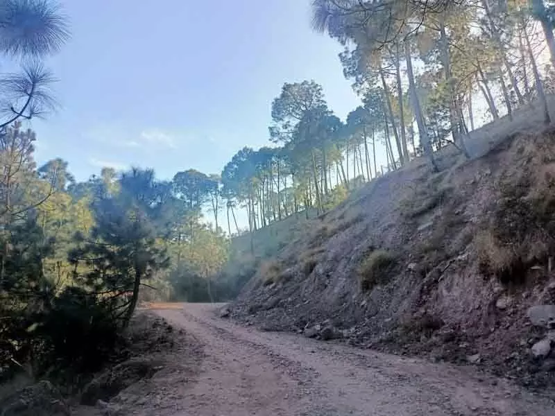 Kasauli लिंक रोड पर अभी तक नहीं हुआ कंक्रीट का काम, ग्रामीण परेशान