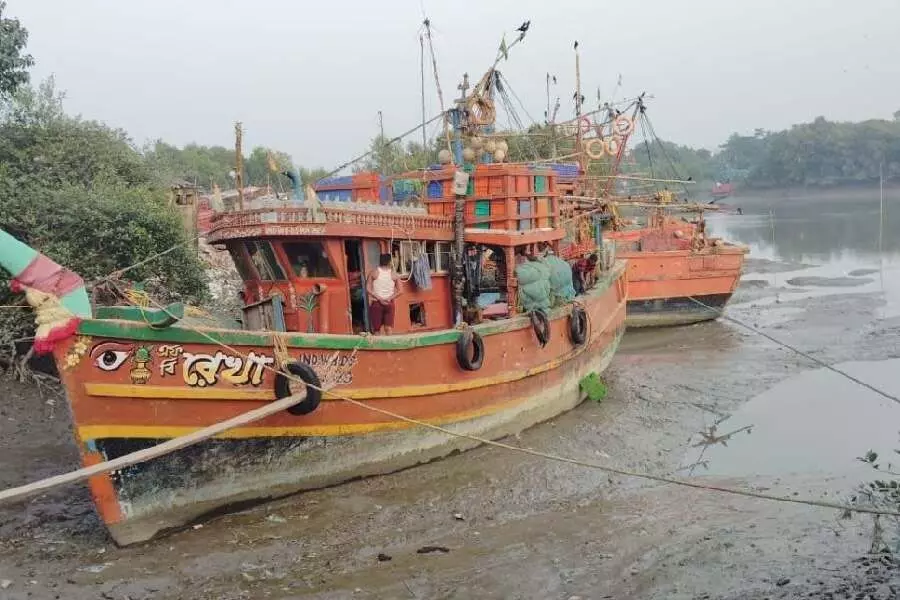 बांग्लादेश के डर से Bengal के मछुआरों को विदेशी मछलियां पकड़ने में हो रही परेशानी