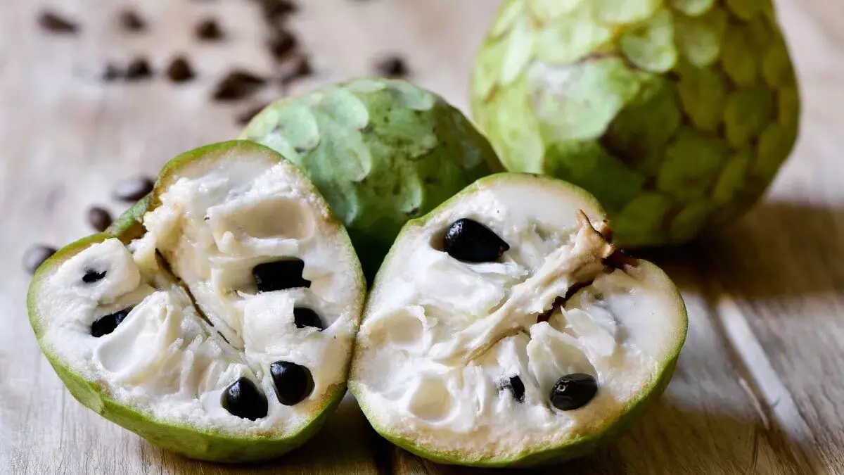 Custard Apple यानि सर्दियों का सुपरफूड, जानें