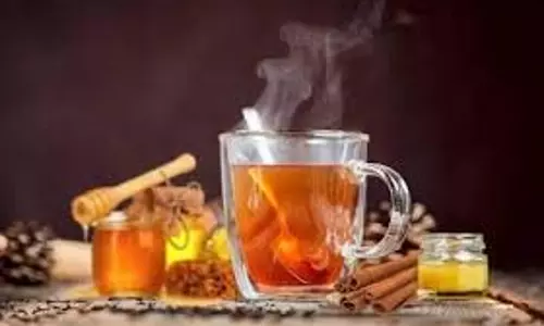 Health: सर्दियों में किसी वरदान से कम नहीं है तुलसी और अदरक समेत इन मसालों से बनी चाय