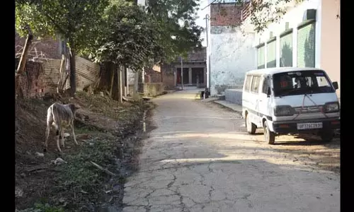 Lucknow का परिधि क्षेत्र बाघ गलियारे का ‘हिस्सा