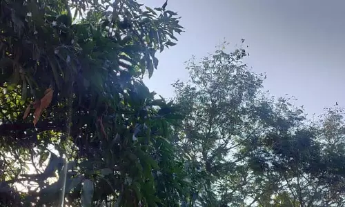 छत्तीसगढ़ : कई जिलों में शीतलहर का अलर्ट जारी