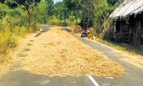 Odisha: बेमौसम बारिश के कारण धान को नुकसान, खरीद से पहले किसानों पर असर