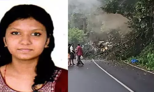 हाथी द्वारा गिराए गए ताड़ के पेड़ की चपेट में आने से इंजीनियरिंग छात्र की मौत