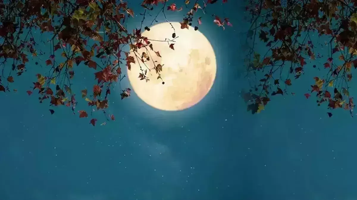Margashirsha Purnima आज, जानें शुभ मुहूर्त व नियम Margashirsha Purnima आज, जानें शुभ मुहूर्त व नियम