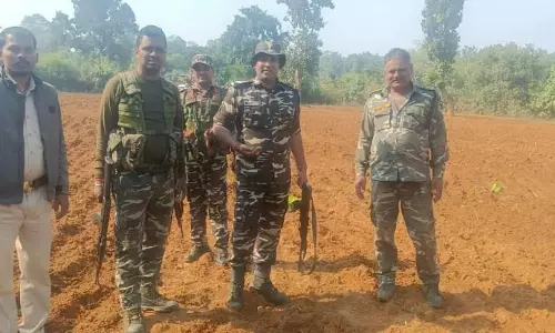 Palamu : वन विभाग की बड़ी कार्रवाई, 15 एकड़ में लगी अवैध अफीम की खेती नष्ट की