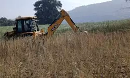 Allahabad: वन विभाग के नाम जमीन को किसानों ने ट्रैक्टरों से जोत डाला