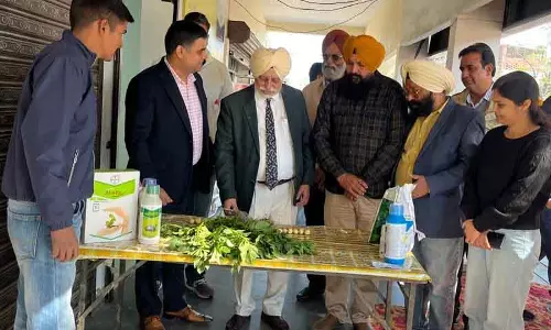 Punjab: किसानों ने वैज्ञानिक तरीके से आलू की खेती करने का संकल्प लिया