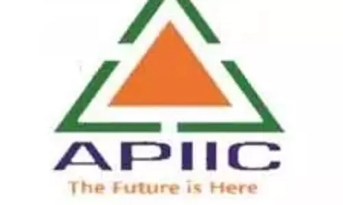 सूक्ष्म-लघु इकाइयों ने APIIC के पुनरुद्धार की मांग की