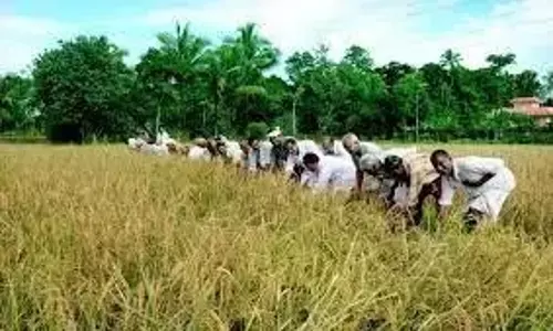 AP: मौसम आधारित बीमा का लक्ष्य प्रीमियम संबंधी चिंताओं के बीच आम किसानों की सुरक्षा करना AP: मौसम आधारित बीमा का लक्ष्य प्रीमियम संबंधी चिंताओं के बीच आम किसानों की सुरक्षा करना
