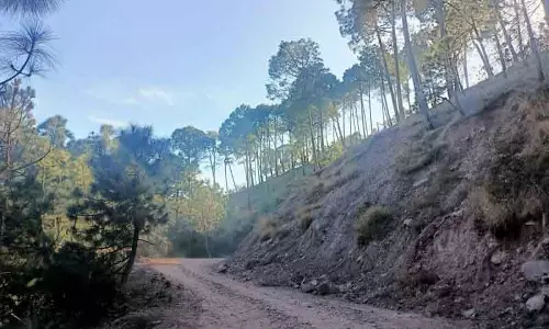 Kasauli लिंक रोड पर अभी तक नहीं हुआ कंक्रीट का काम, ग्रामीण परेशान
