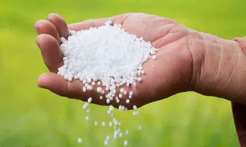 वैश्विक आपूर्ति श्रृंखला व्यवधानों और DAP की बढ़ती मांग वैश्विक आपूर्ति श्रृंखला व्यवधानों और DAP की बढ़ती मांग