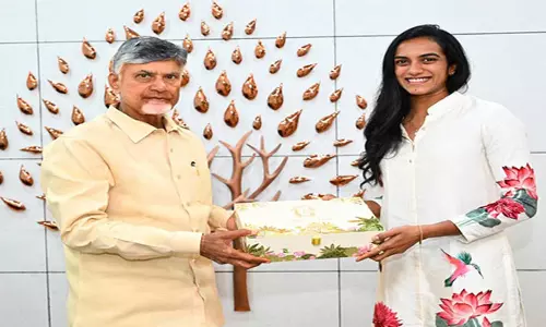 PV Sindhu ने आंध्र प्रदेश के सीएम चंद्रबाबू नायडू से मुलाकात की