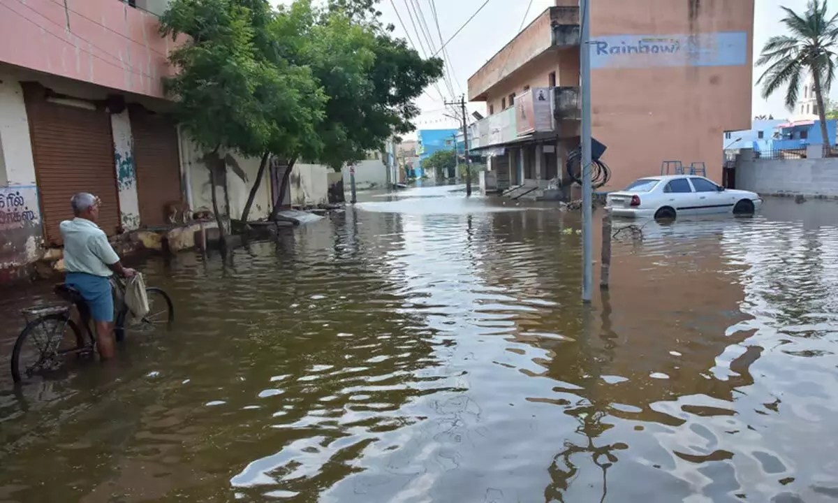 Tamil Nadu: जल जमाव से किसान परेशान