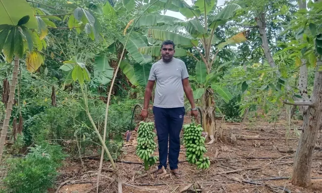 Kuppam के किसान ने प्राकृतिक कृषि आंदोलन से बड़ी सफलता हासिल की