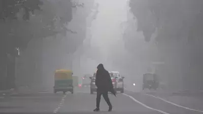 Weather: यूपी में शीतलहर की लहर अब छाएगा घना कोहरा