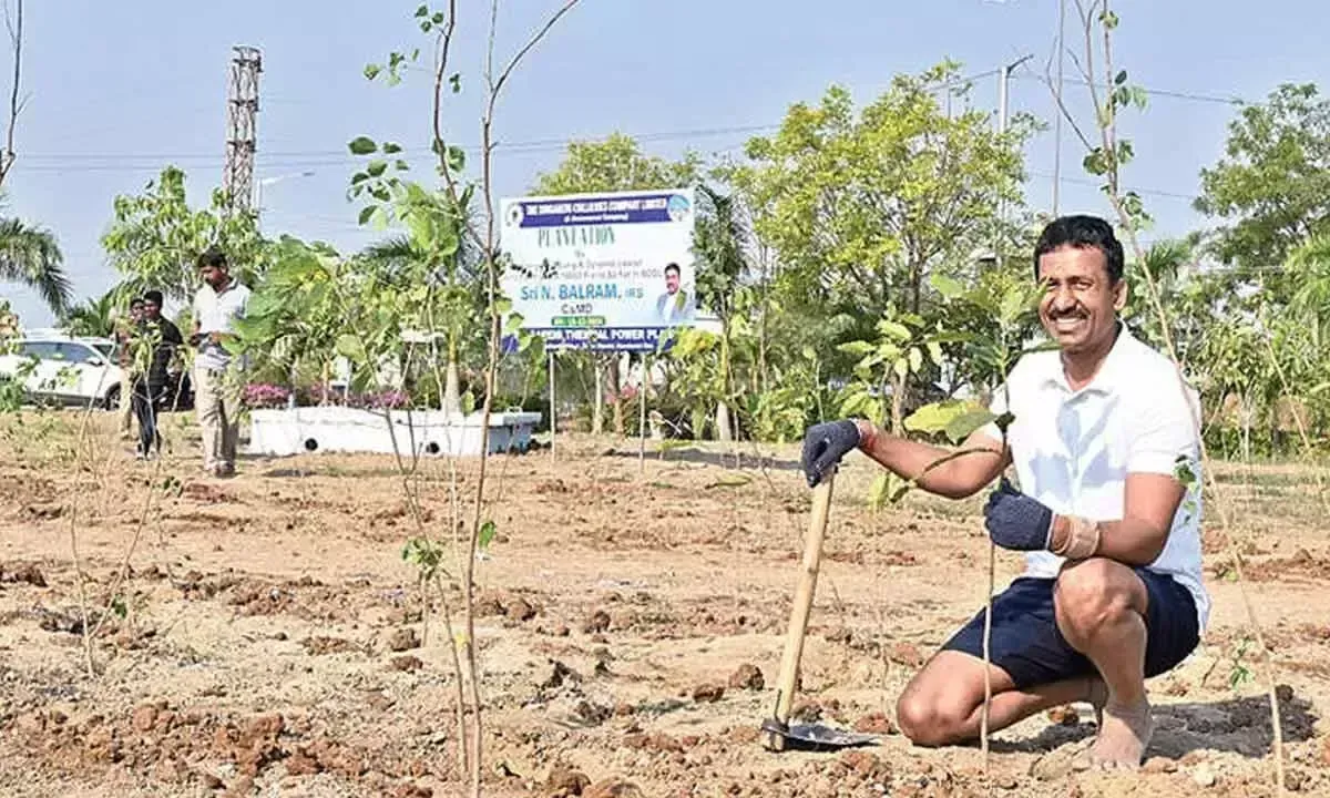 SCCL के सीएमडी हरित मिशन पर