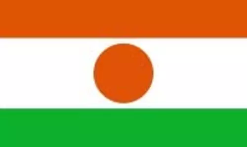 नाइजर : दो अलग-अलग हमलों में 39 नागरिकों की मौत नाइजर : दो अलग-अलग हमलों में 39 नागरिकों की मौत