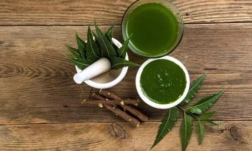 Hair Care: रूखे स्कैल्प और रूसी से परेशान हैं, नीम के ये असरदार नुस्खे आजमाएँ Hair Care: रूखे स्कैल्प और रूसी से परेशान हैं, नीम के ये असरदार नुस्खे आजमाएँ