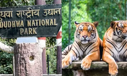 Lucknow: लखनऊ विश्वविद्यालय में विदेशी छात्रों ने किया दुधवा पार्क का भ्रमण