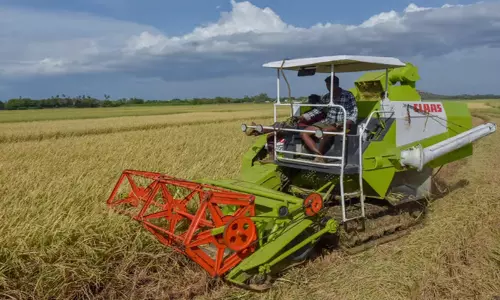 Tamil Nadu: सत्तुपथु के किसानों ने बारिश से धान की फसल के नुकसान की निंदा की Tamil Nadu: सत्तुपथु के किसानों ने बारिश से धान की फसल के नुकसान की निंदा की