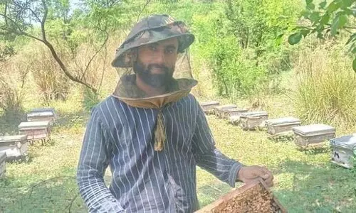Bee Biz buzz: सरसों के शहद से अधिक पैसा कमाने के लिए तैयार हो जाइए Bee Biz buzz: सरसों के शहद से अधिक पैसा कमाने के लिए तैयार हो जाइए