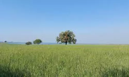 Faizabad: किसानों के भूमि सत्यापन में तहसील स्तर पर शिथिलता बरती जा रही Faizabad: किसानों के भूमि सत्यापन में तहसील स्तर पर शिथिलता बरती जा रही