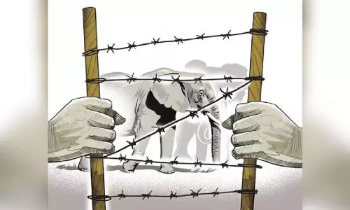 Odisha के बोनाई में हाथियों ने एक ही रात में दो बहनों समेत तीन लोगों को मार डाला Odisha के बोनाई में हाथियों ने एक ही रात में दो बहनों समेत तीन लोगों को मार डाला