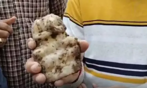 पहले मंदिर मिला...अब कुएं की खुदाई में मिली खंडित मूर्ति, लोगों की लगी भीड़, VIDEO