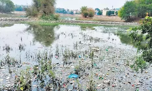 90% से अधिक शहरी सीवेज जल निकायों में छोड़ा जा रहा है: Odisha पर कैग रिपोर्ट