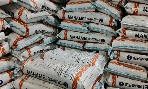 Avanti Feeds शेयर की कीमत में 5.99% ऊपर