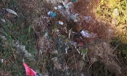 Himachal: पहाड़ी पर कूड़ा-कचरा लोगों को परेशान कर रहा Himachal: पहाड़ी पर कूड़ा-कचरा लोगों को परेशान कर रहा