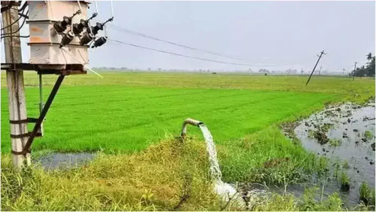 Rohtas: किसानों को बिजली कनेक्शन देना सरकार की प्राथमिकता