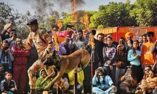 Ludhiana: गर्वित मालिक डॉग शो में अपने पिल्लों को दिखाते हुए Ludhiana: गर्वित मालिक डॉग शो में अपने पिल्लों को दिखाते हुए