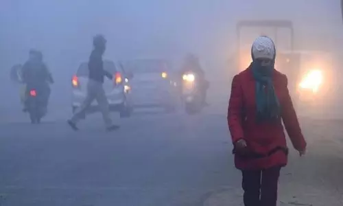 Cold Wave in Gujarat: राज्य में शीतलहर जारी, जानिए अलग-अलग शहरों का तापमान Cold Wave in Gujarat: राज्य में शीतलहर जारी, जानिए अलग-अलग शहरों का तापमान