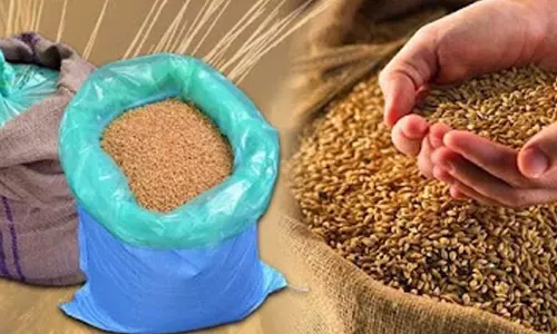 Gujarat: राशन की दुकानों में नहीं मिलेगा अनाज, मिलावट रोकने के लिए योजना