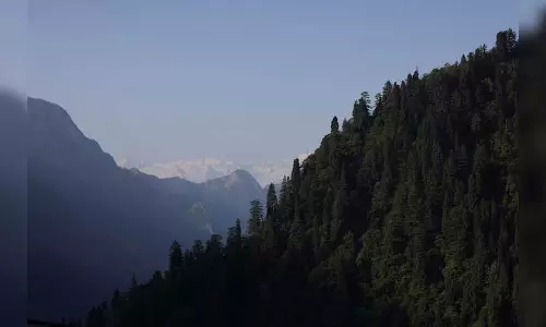 Georgia के माउंटेन रिसॉर्ट में 12 भारतीय मृत पाए गए