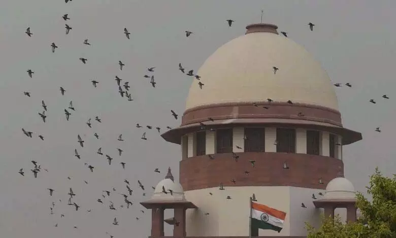 NIA अनुसूचित अपराधों से जुड़े अन्य आरोपियों की भी जांच कर सकती है: SC