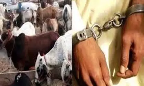 UP News: पुलिस मुठभेड़ में चार गौ तस्कर गिरफ्तार UP News: पुलिस मुठभेड़ में चार गौ तस्कर गिरफ्तार