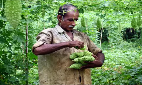 Kerala: किसानों का आरोप, केरल वन संशोधन विधेयक अधिकारियों को बेलगाम शक्तियां देता Kerala: किसानों का आरोप, केरल वन संशोधन विधेयक अधिकारियों को बेलगाम शक्तियां देता