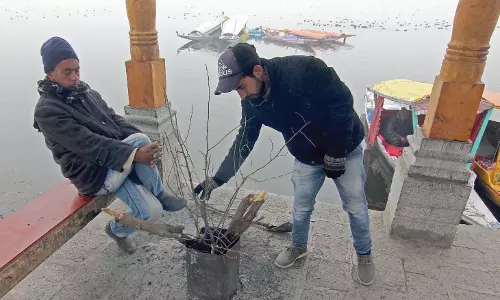 JK: शीतलहर जारी, मौसम विभाग ने ऊपरी इलाकों में हल्की बर्फबारी का अनुमान जताया JK: शीतलहर जारी, मौसम विभाग ने ऊपरी इलाकों में हल्की बर्फबारी का अनुमान जताया